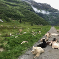 IMG_0789.jpg